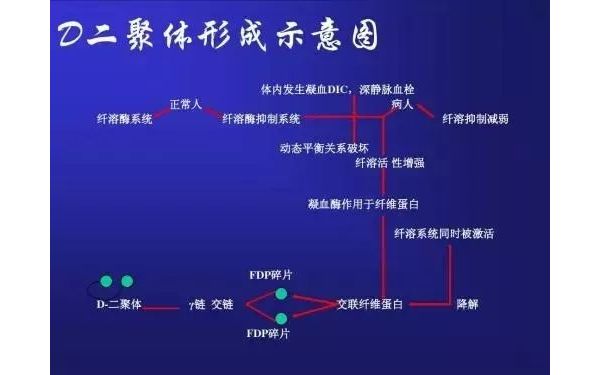 D二聚体到底是个什么鬼？看完这篇你就懂了