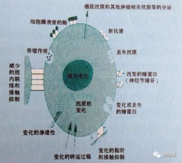 Get！—肿瘤标志物的临床评价