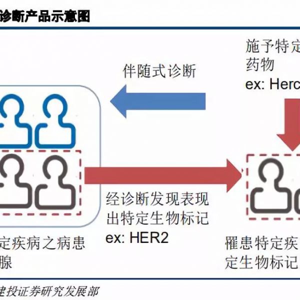 超全！伴随诊断行业报告，2022年市场规模有望达65.1亿美元！