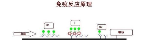 CUT  OFF值是怎么确定的