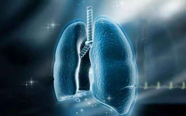 Nature最新文章揭示癌症进化与免疫系统的复杂关系 | 多种独立免疫逃避机制共存！