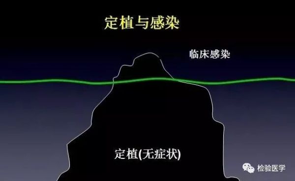 痰培养如何区分“致病菌”和“定植菌”？