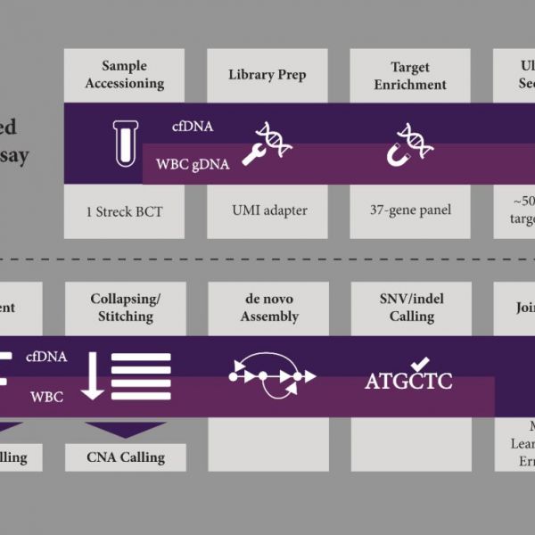 Illumina、Grail联合MSK等三大癌症研究机构，开发出超深度NGS液体活检方法！
