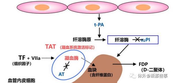 血栓新四项之血栓标志物检测