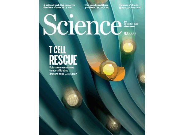 《科学》封面雄文：突破癌症免疫疗法瓶颈，答案居然如此简单？