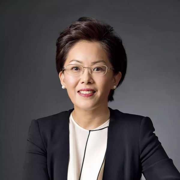 刘文静：A股最大跨国医疗器械并购案是如何诞生的