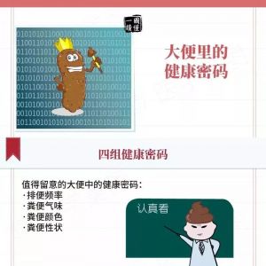 一张图带你了解大便