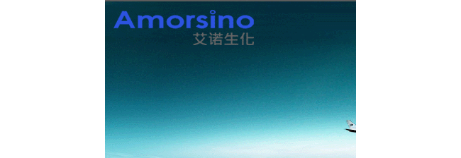 上海艾诺电子有限公司