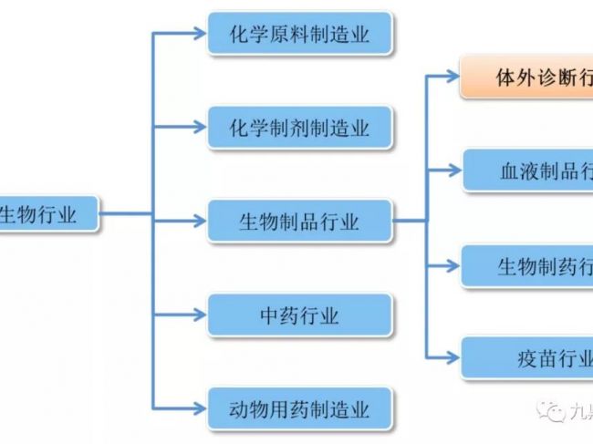 行业报告丨2019年体外诊断行业研究