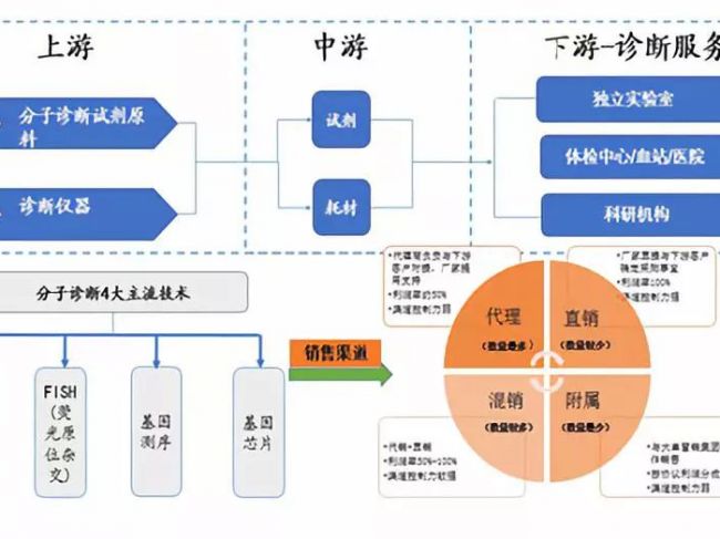 分子诊断行业分析报告