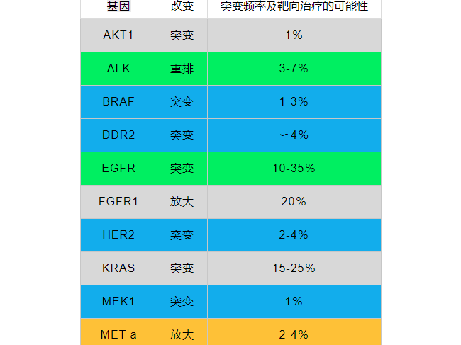 史上最全！肺癌靶点全面解读及对应靶向药物方案盘点！