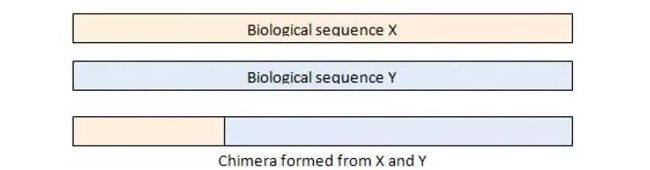 关于微生物研究的十问十答 | 学习专栏