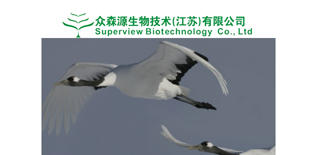众森源生物技术（江苏）有限公司