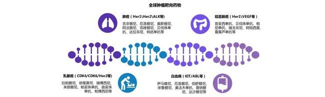 肿瘤基因检测市场研究报告