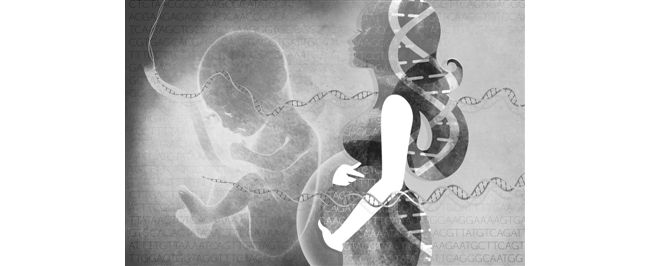美众议院提议取消“基因编辑婴儿”禁令