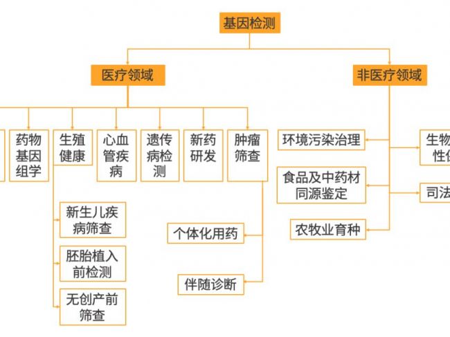 基因检测消费升级，“生命数字化”进程加速