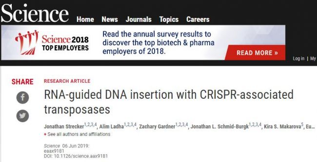 新型CRISPR要火！国际顶级杂志接连发文，小小“跳跃基因”有大作用
