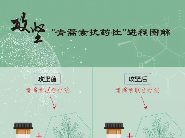 屠呦呦团队，放！大！招！了！