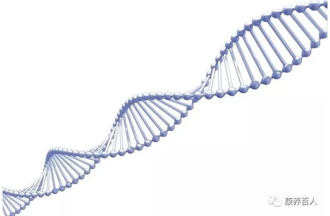 生命数字化时代来临！人类全基因组测序成本从300万降至500美元