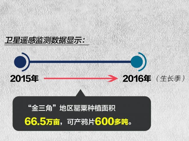 最新报告：《2018年中国毒品形势报告》解读