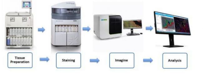 行业 | 一日千里的组织诊断市场：罗氏，赛默飞世尔等巨头如何布局？