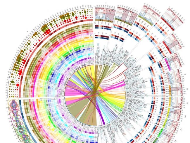 宏基因组测序（mNGS）：病原微生物诊断新风口