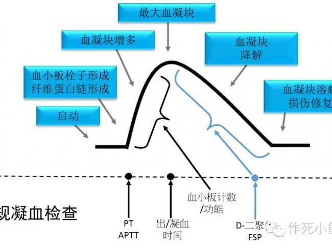 血栓弹力图tips