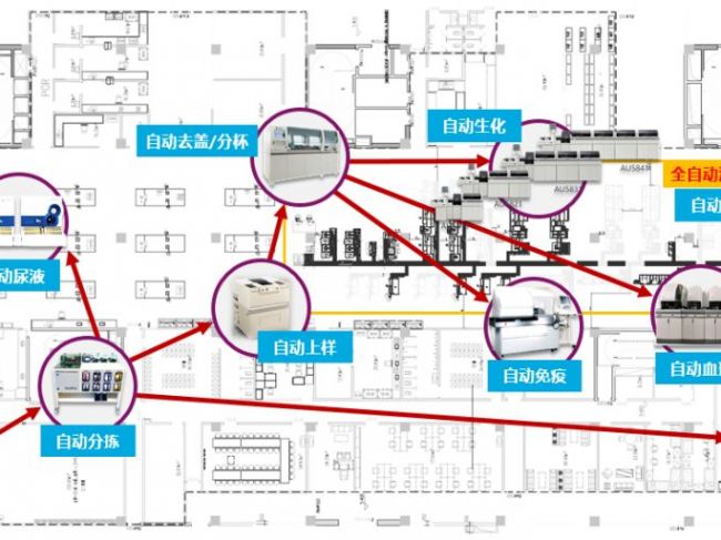 走实验室智慧化之路，开启检验医学美好未来