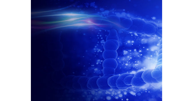 济南继德生物科技有限公司