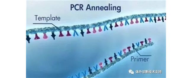 分子诊断常用技术
