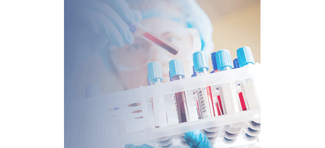 南京博斯金生物技术有限公司