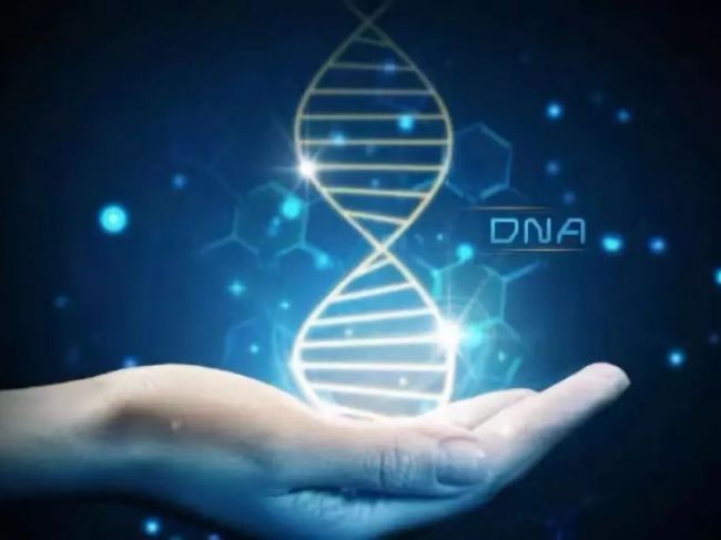 艾德生物：体外诊断公司中的高富帅（二）