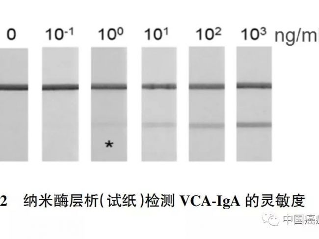 鼻咽癌标志物临床应用专家共识