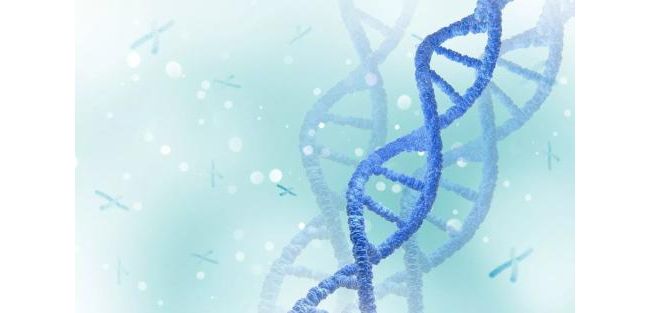 分子诊断等技术被多地列入“限制临床应用的医疗技术”？