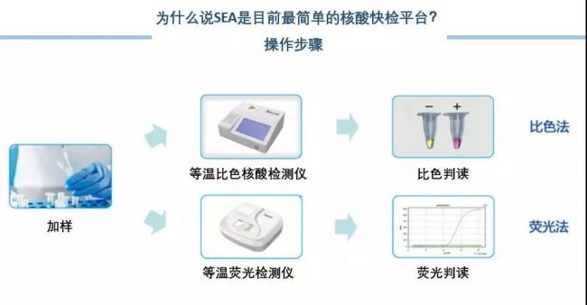 新一代SEA核酸比色快检平台，为食品安全保驾护航
