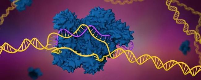 2019年全球十大基因编辑公司，CRISPR“三大先驱”都入选