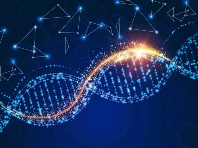 PacBio第三代测序技术迎来创新性升级，准确度可与二代测序相媲美 | Nature Biotech