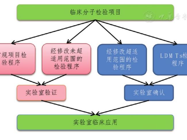 临床分子检验项目的检验程序验证与确认