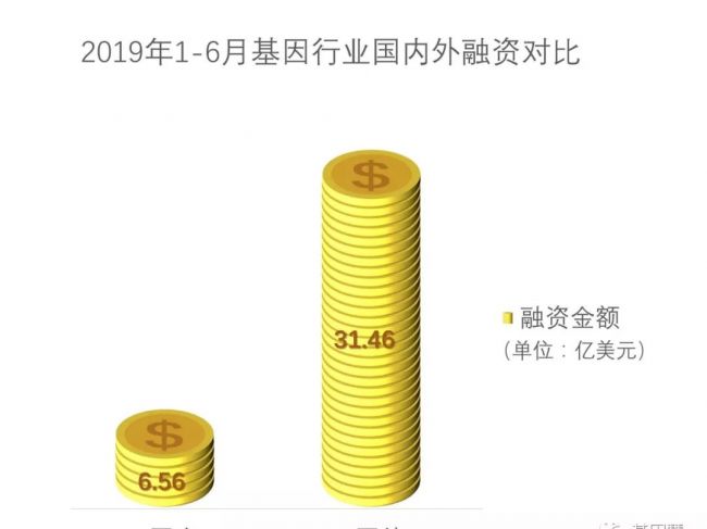 2019年半程，基因产业的黎明前静悄悄（上）