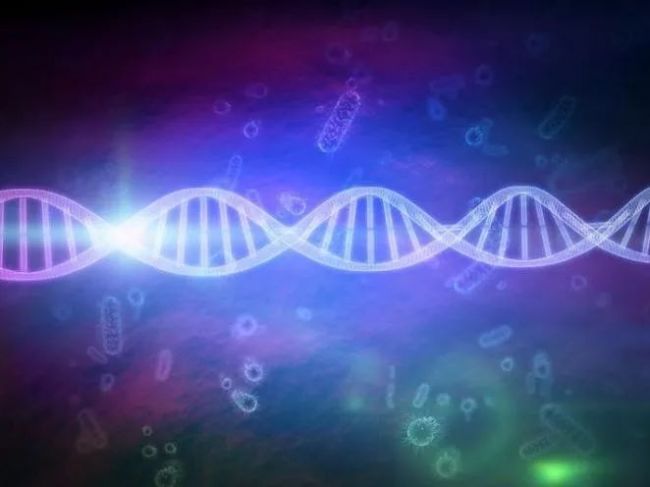微生物里有大文章！细菌孤独么?