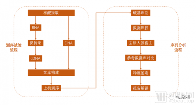 宏基因组病原体检测火起来后，我们访谈了这个行业的先行者