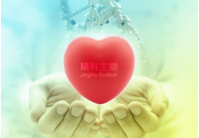 广州精科生物技术有限公司