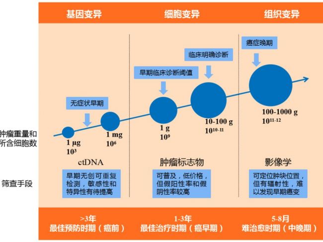 液体活检技术在肿瘤早筛中的创新应用探索