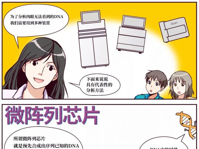 漫画解读丨基因组分析的代表方法