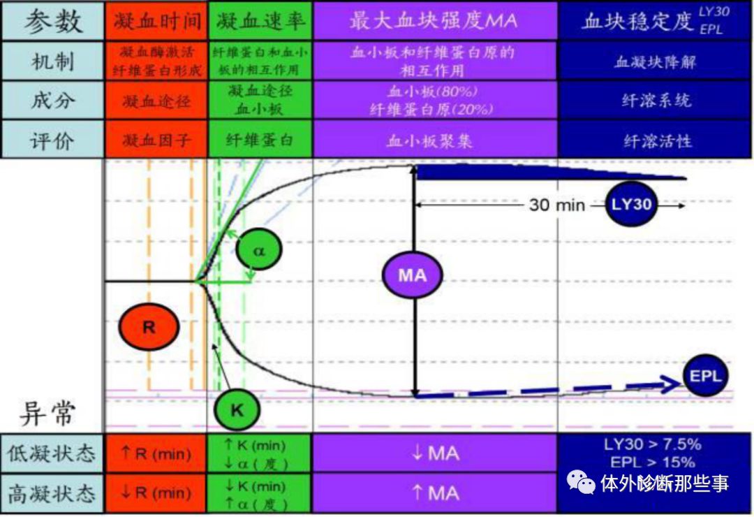 血栓弹力图课件图片