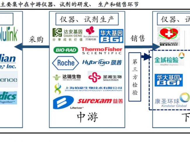 凯普生物（300639) -深度报告-聚焦核酸分子检测持续高成长，重磅独家STD“十联检”亟 ...