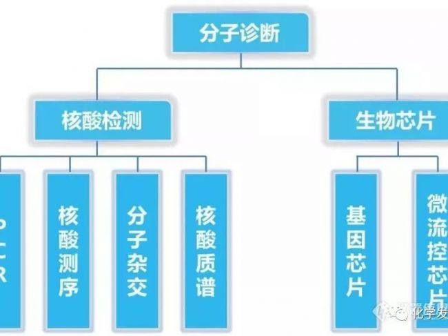 5大类分子诊断技术全解析！