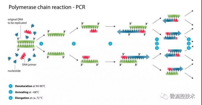 微流控技术与PCR结合会有怎样的火花？