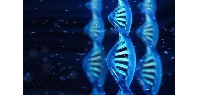 宏基因组学技术助力病原体精准诊断
