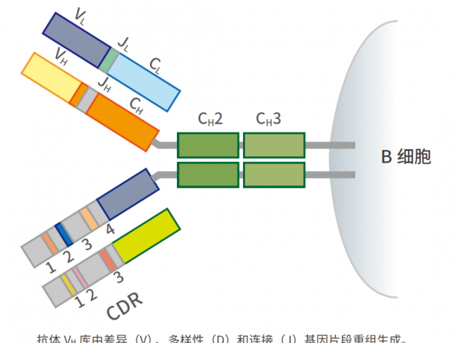 单细胞测序为免疫学带来数据驱动型革新